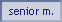 Senior Masculino 
