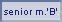 Senior Masculino 